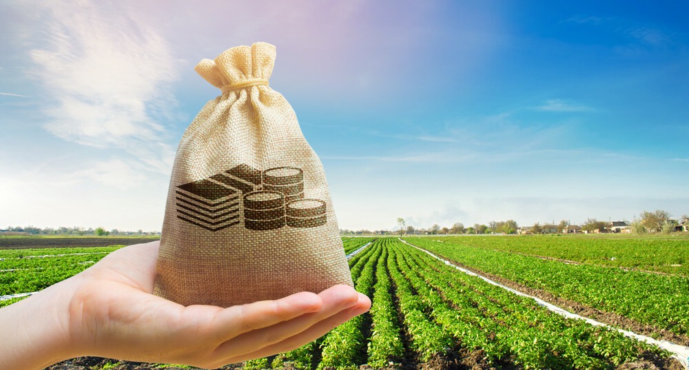 Yield Farming